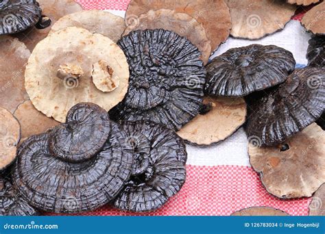 are dried shataki mushrooms safe to eat from china